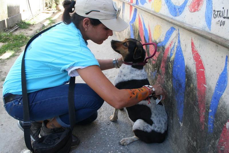 Sucel Jurado es la responsable general del grupo Protección de Animales de la Ciudad, PAC Cuba.