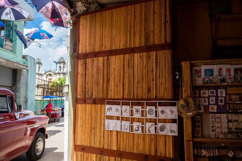 Las redes sociales han sido la puerta al mundo de este emprendimiento