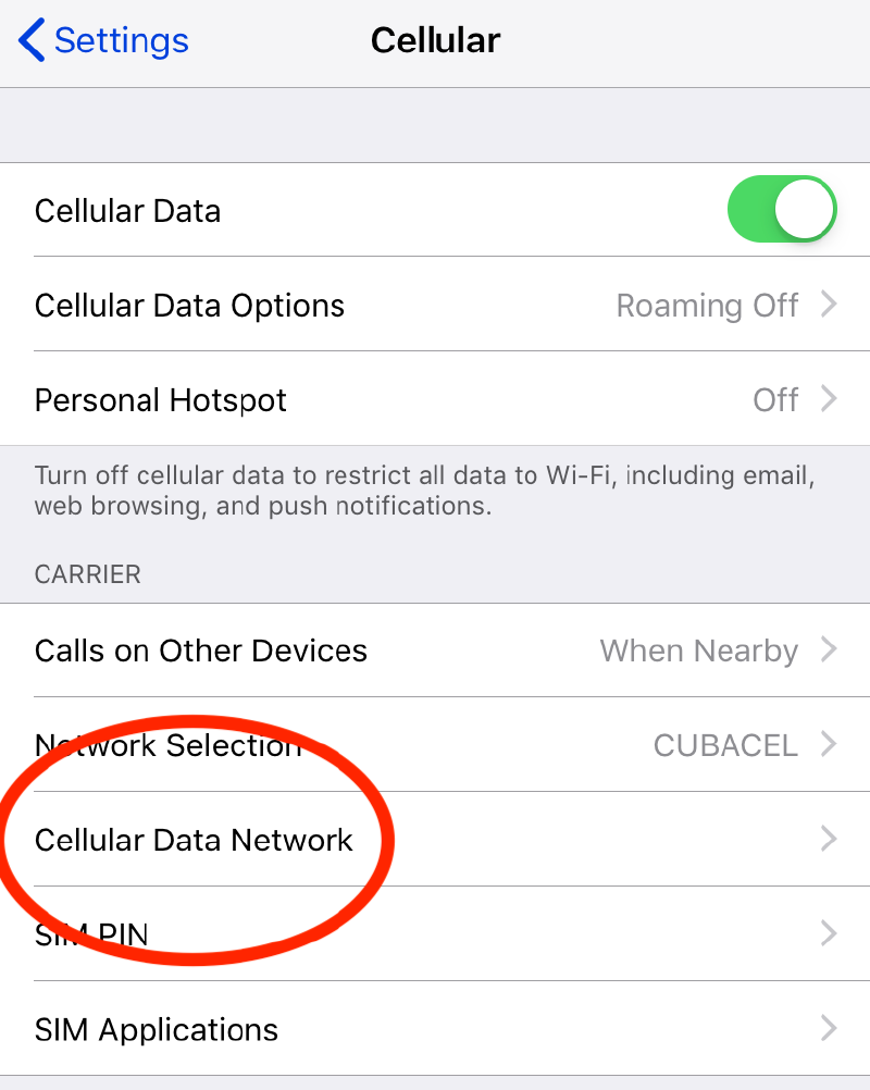 Captura de pantalla de red de datos celulares en iOS