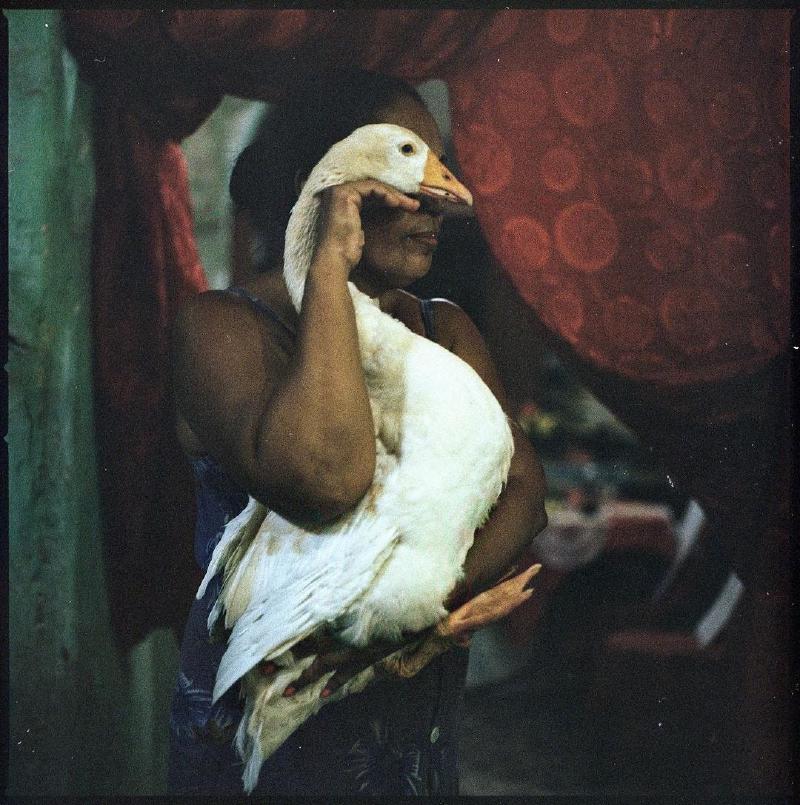 “Retrato de Cary y su ganso”