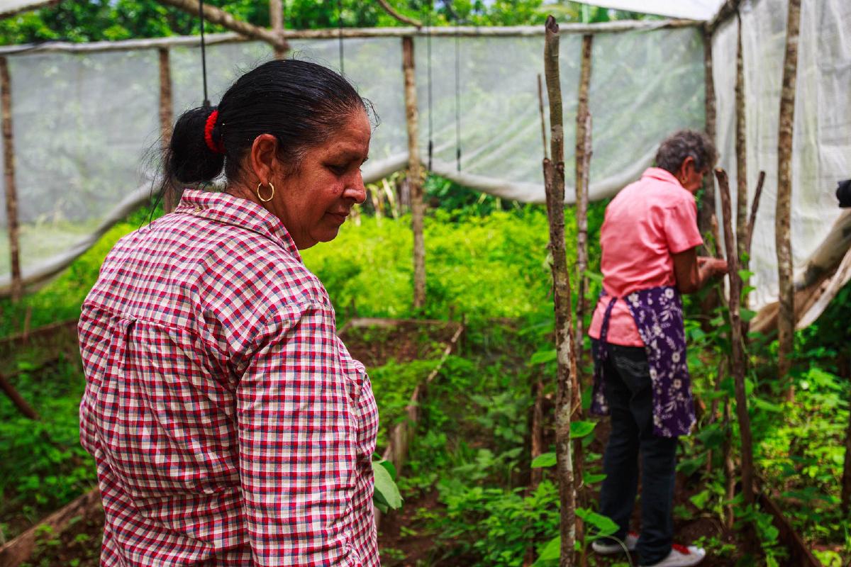 Estas mujeres de Los Hondones han impulsado su pequeña parcela