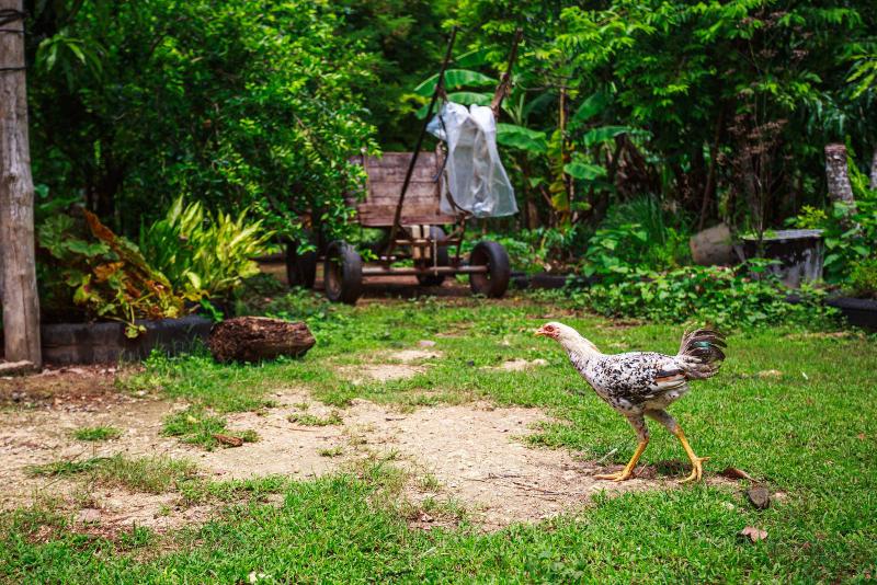 Este espacio también ha desarrollado el turismo ecológico
