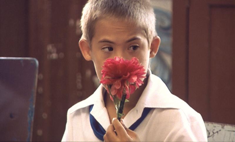El niño Francisquito huele una flor en Suite Habana