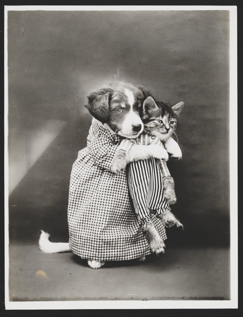“The Nurse”, 1914. Harry Whittier Frees / Library of Congress of the United States