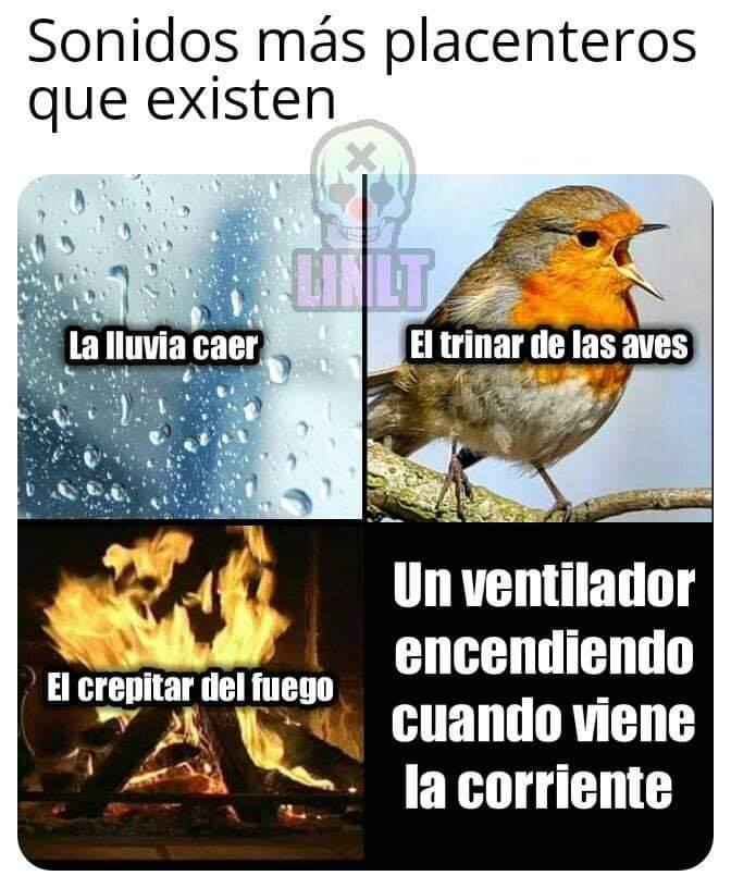 Los memes son una especie de tira cómica del siglo XXI.