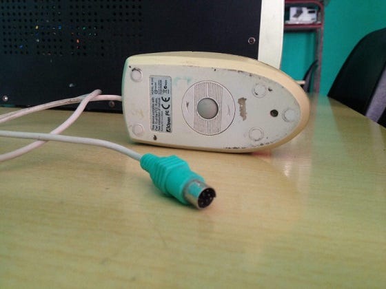 Seguro abriste uno de estos especímenes para limpiarlos.